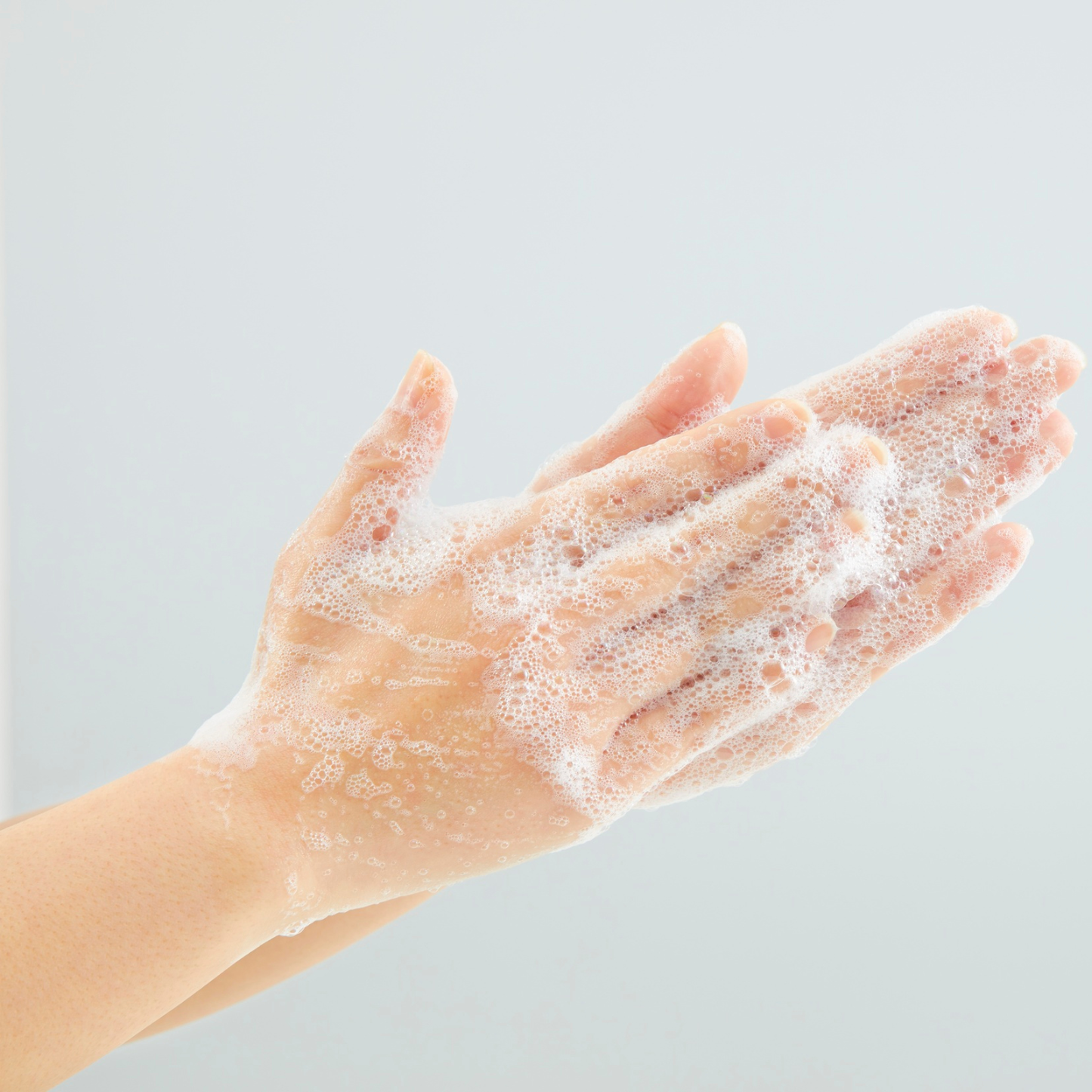 Seasonal Stillness Collection | Nourish & Cleanse Bar