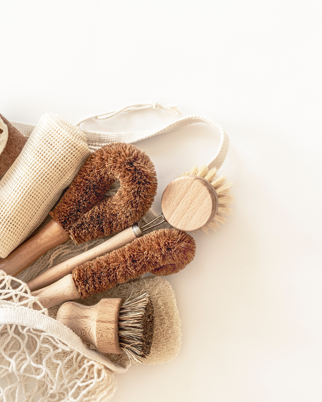 Grain & Grove | Plant-Powered Clean | Wholesale