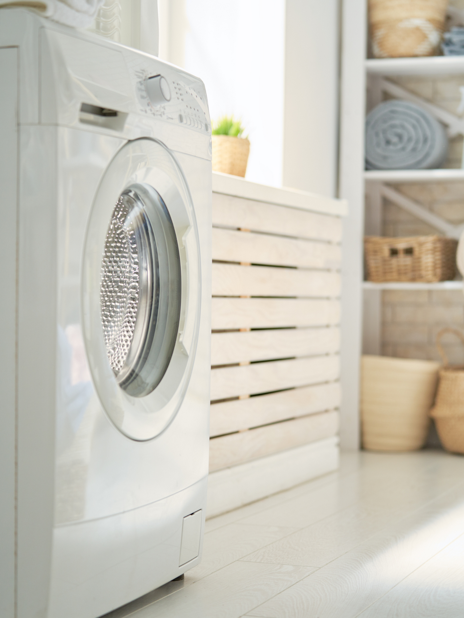 Leaf & Linen | Detergent Concentrate