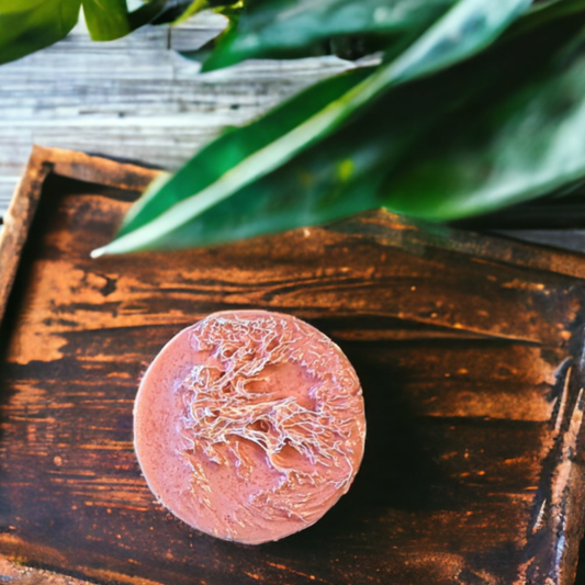 Reset Collection | Nourish & Exfoliate Loofah Bar