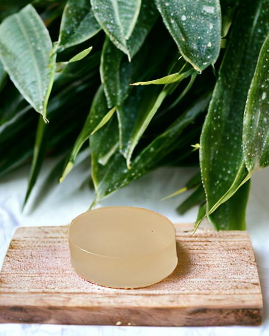 Shave & Shampoo Bar